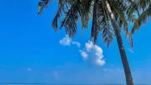 Un banco de madera con aletas de natación rojas y negras, con vista a una playa de aguas turquesas cristalinas y un barco a lo lejos.
