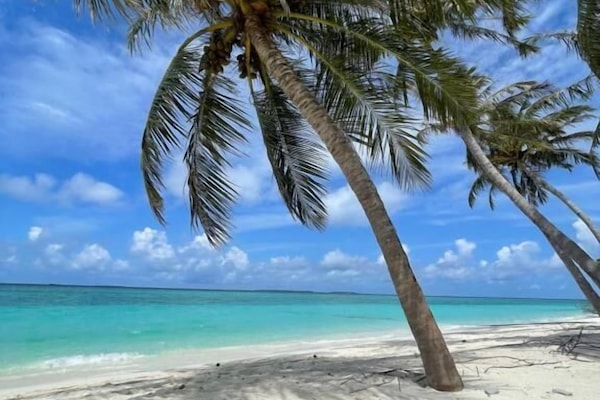 Rannalla, valkoista hiekkaa, aurinkotuoleja, aurinkovarjoja