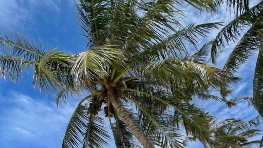 ViluVeli Holiday Retreat