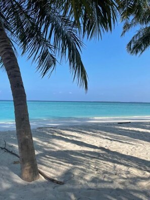 A la platja, platja de sorra blanca i gandules de platja 