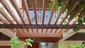 Un espacio exterior cubierto con una pérgola de madera, plantas en macetas y una escalera que lleva a un nivel superior.