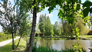 Un parque tranquilo con un estanque, árboles y un sendero de grava.