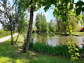 Property grounds - Domaine en Pleine Nature, aux Portes de la Baie de Somme (Rue)