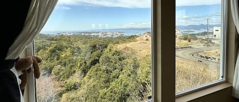 Vista desde la propiedad