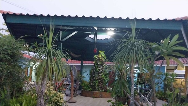 Een overdekt buitengebied met een pad dat naar een gebouw leidt. Er staan verschillende planten in potten en een kleine tafel met stoelen.