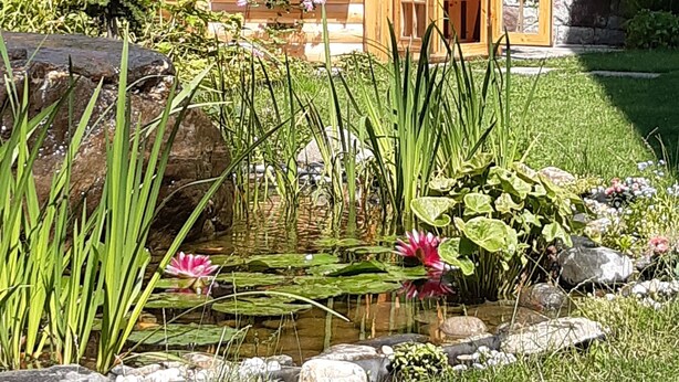 A wooden gazebo with a stone roof, surrounded by a pond with water lilies and a variety of plants. - Apartment 'Obermoarhof Hönigspitze OG Deluxe' with Mountain View, Shared Garden and Wi-Fi (Lagundo)