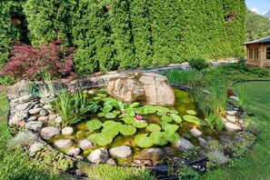 Een vijver in de tuin met stenen, waterlelies en een houten constructie op de achtergrond.