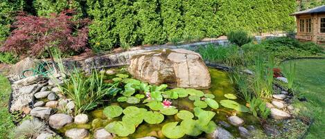 المنطقة المحيطة بالمنشأة