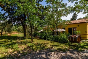 Property grounds - Apartment "Geranio - Agriturismo La Fattoria" with Garden & Wi-Fi (Grosseto)
