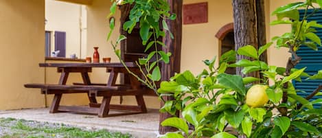 Restauration en plein air