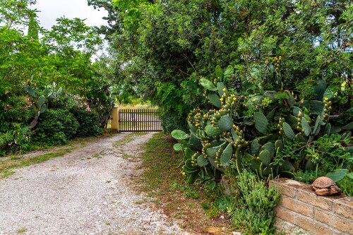 Appartement "Limone - Agriturismo La Fattoria" avec jardin et Wi-Fi
