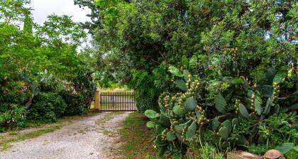 Ferienwohnung "Limone - Agriturismo La Fattoria" mit Garten und WLAN