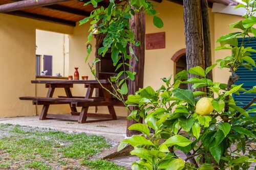 Apartment "Limone - Agriturismo La Fattoria" with Garden & Wi-Fi