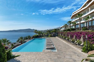 Piscina con vista despejada al mar, rodeada de palmeras y sillas de descanso.
