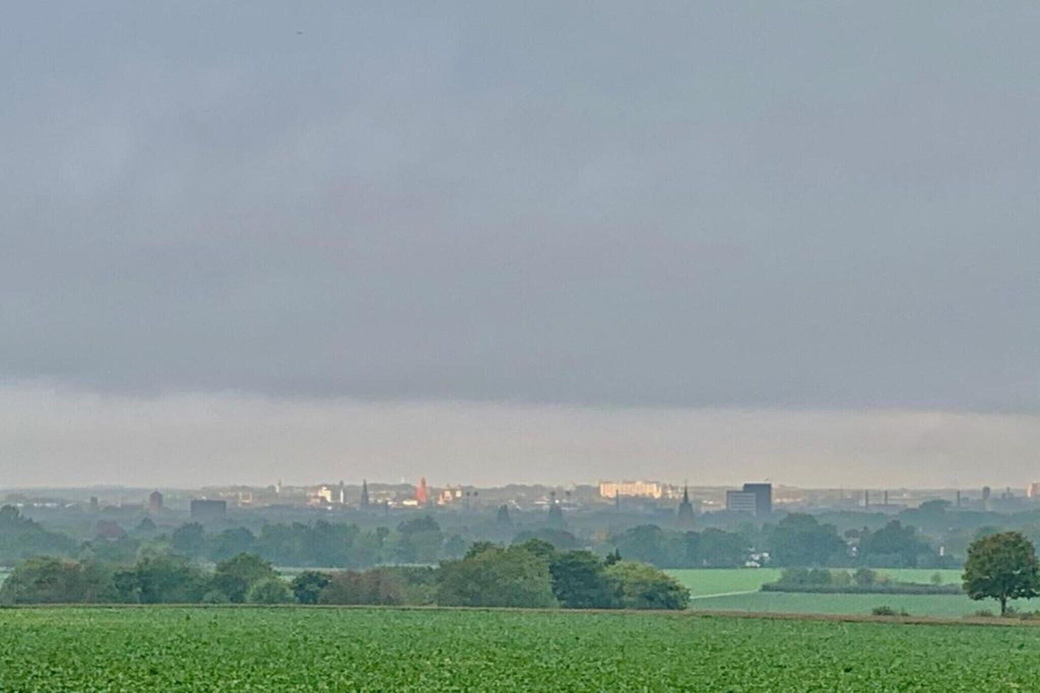 Ländliche Landschaft mit Feldern und einer entfernten Skyline einer Stadt.