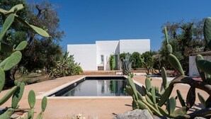 Una piscina rodeada de cactus y un edificio blanco con una puerta y una ventana.