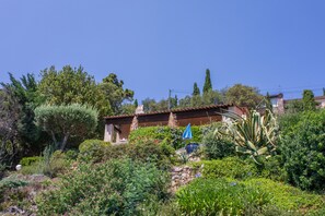 Une maison entourée d’une végétation luxuriante, sous un ciel bleu et dégagé.