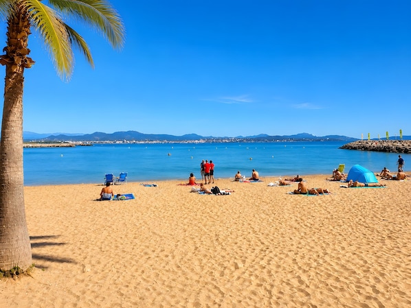 A beach with people sunbathing and swimming, palm trees, and a clear blue sky.