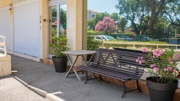 Terras