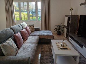Ein Wohnzimmer mit grauem Ecksofa, einem weißen Couchtisch, einer TV-Konsole und einer Topfpflanze.