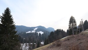 Unclassified image, 5 of 10, button - Les Gets - 1BR apartment with parking and mountain view (Les Gets)