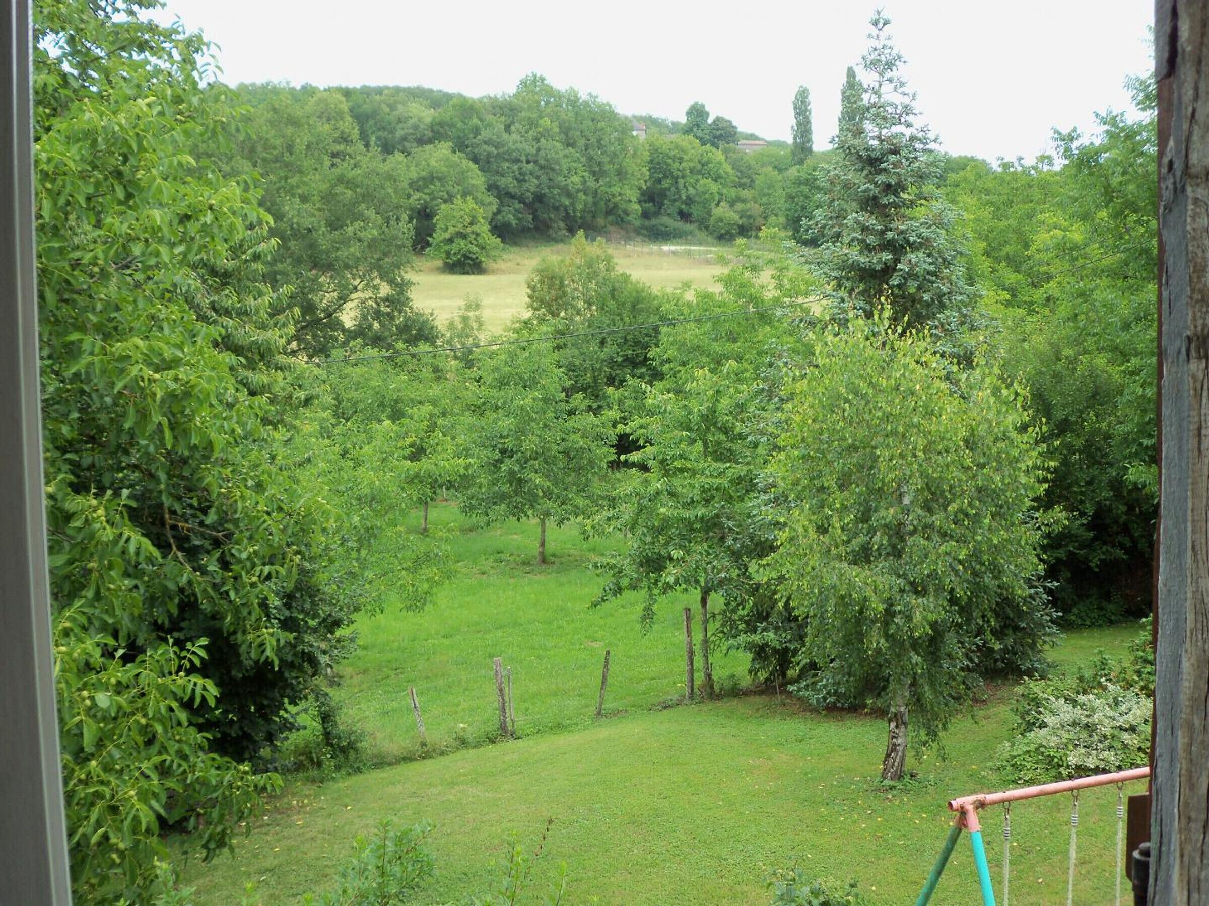 A view of a lush green landscape with trees and a grassy field.
