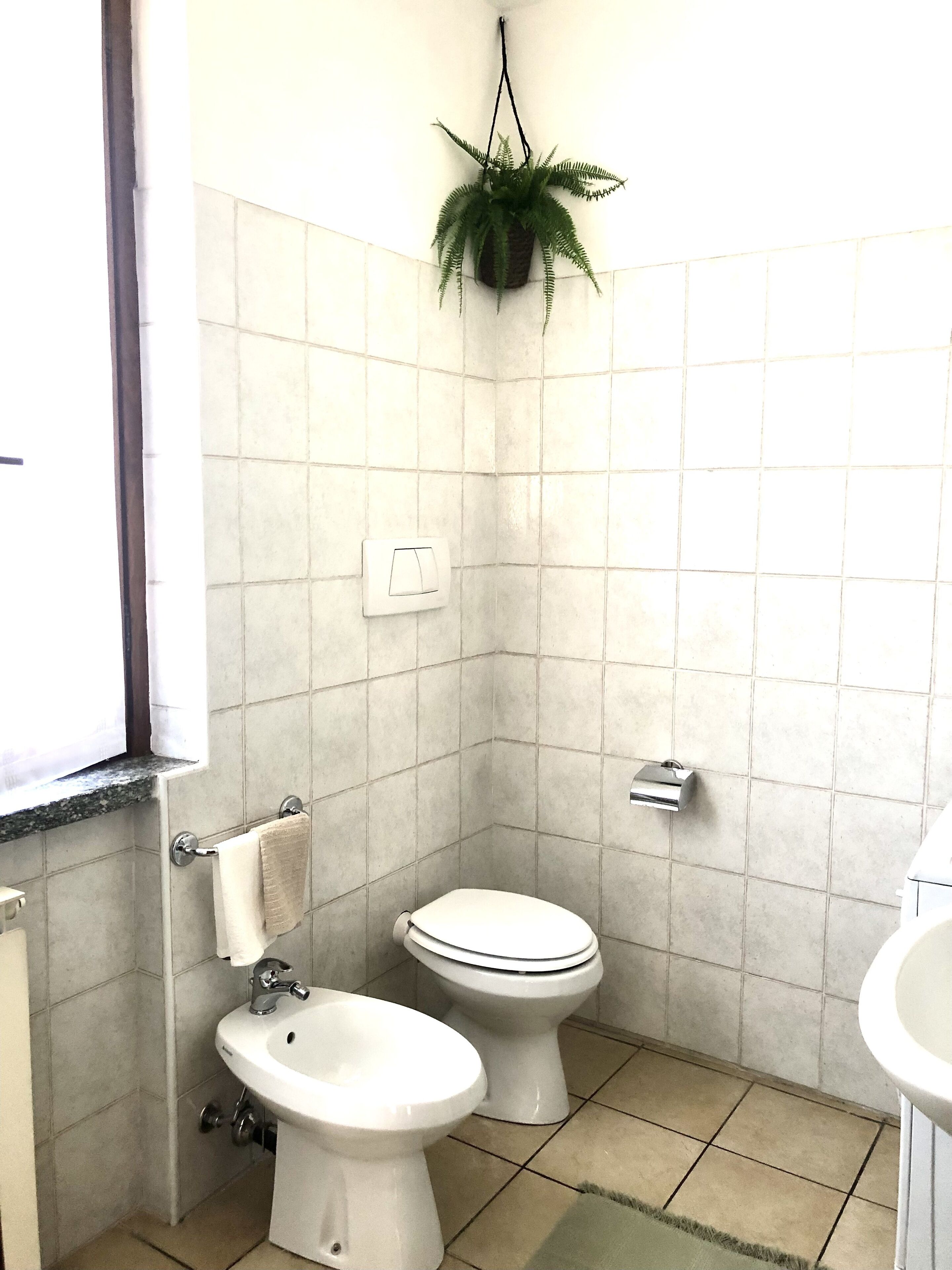 Ein Badezimmer mit zwei Toiletten, einem Waschbecken, einem Handtuchhalter, einer hängenden Pflanze und einem Fenster.