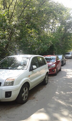 House in the forest for up to 5 people - directly on the flow trail, Hunsfels and Hildegardis path