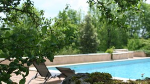 Ein Schwimmbecken mit Liegestühlen, umgeben von Pflanzen und Felsen.