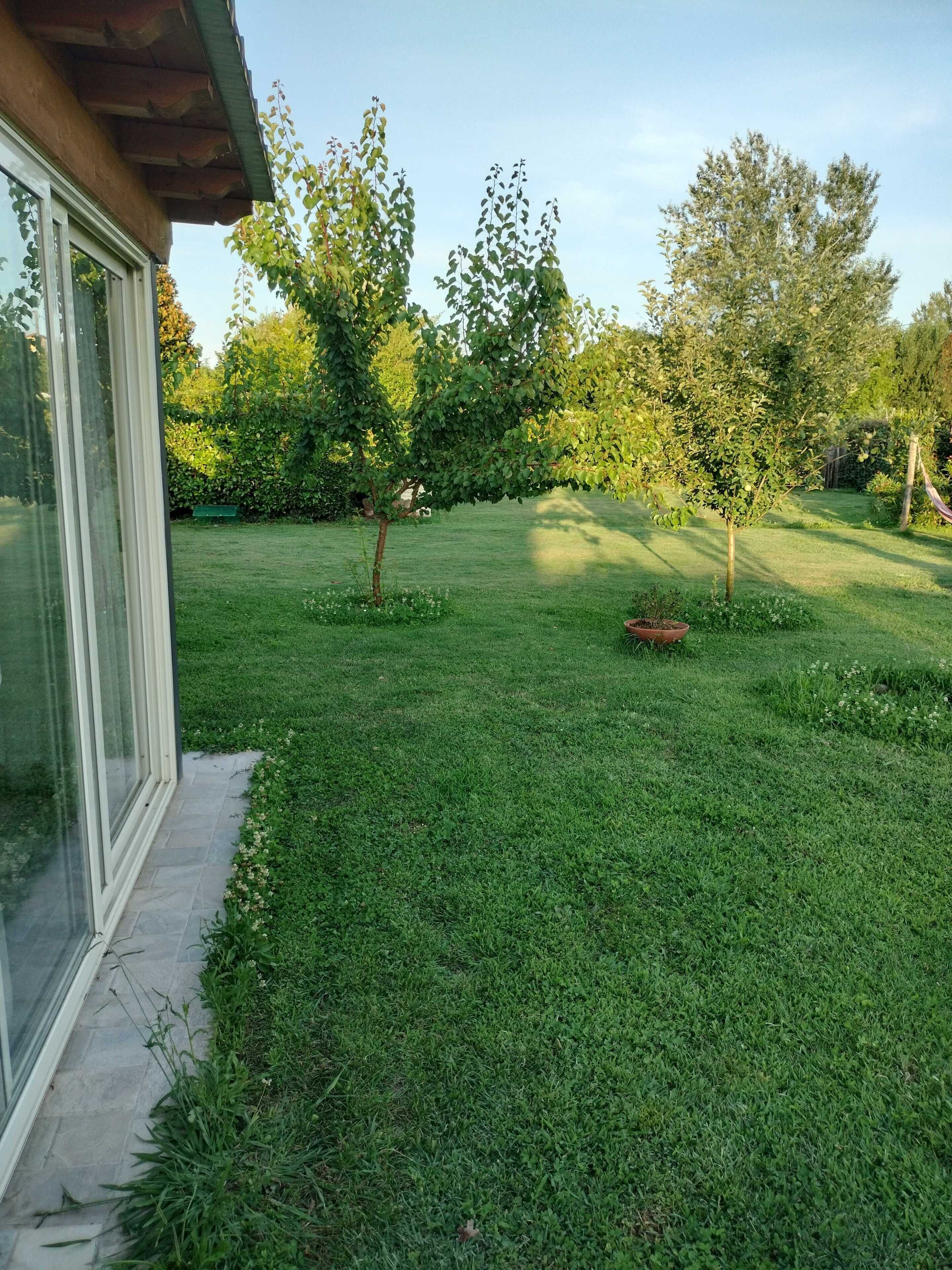 Photo - B&B La Rosa Nel Verde