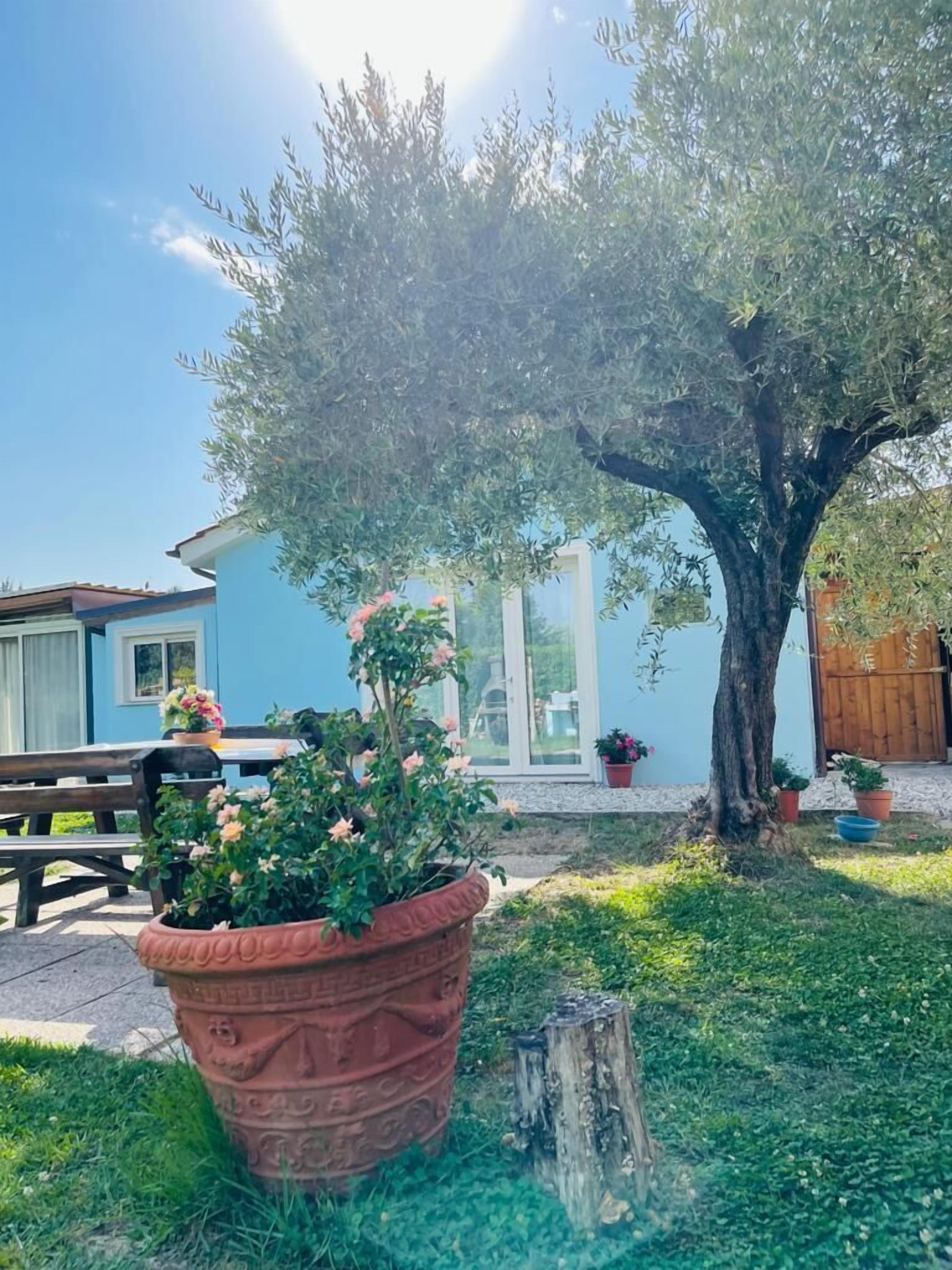 Photo - B&B La Rosa Nel Verde