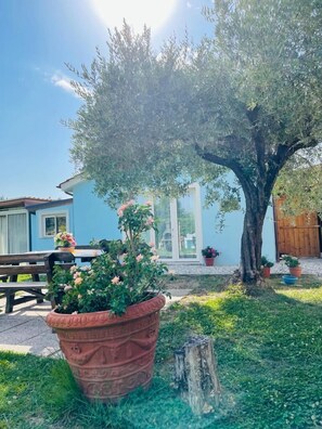 Exterior - La Rosa Nel Verde (Lucca)