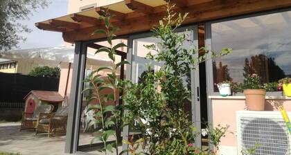 La Rosa Nel Verde