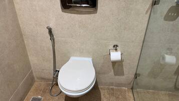 A bathroom with a toilet, a shower, and a toilet paper holder.