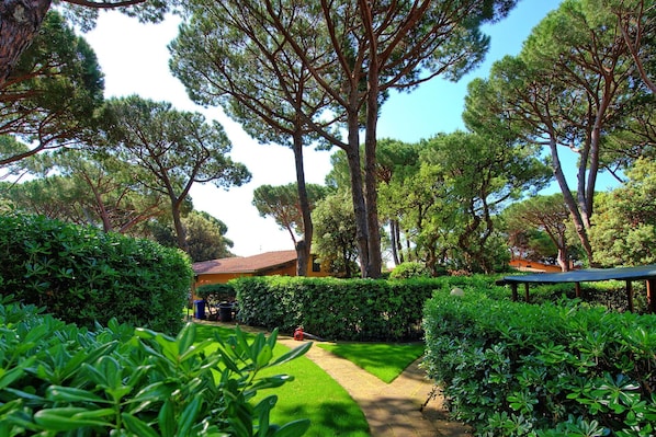 A well-maintained garden with a lawn, hedges, and tall trees.