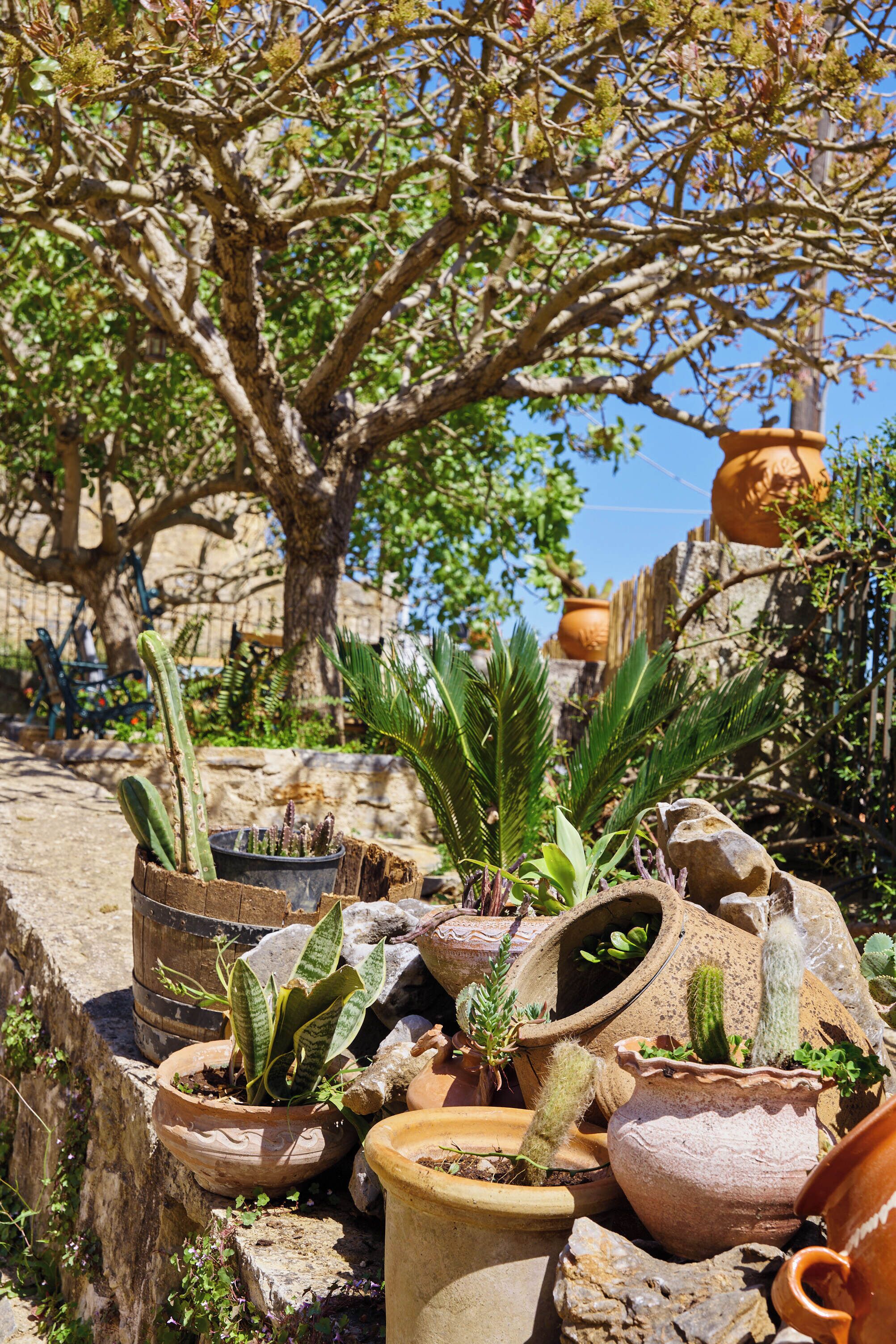 Áreas de la propiedad