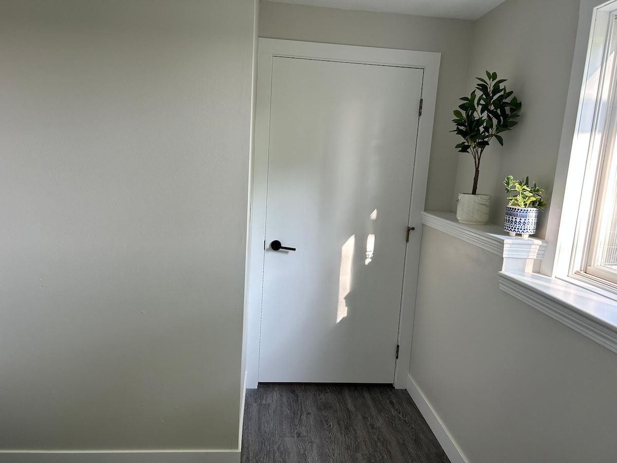 A hallway with a white door, a small plant on a shelf, and a window with a view.