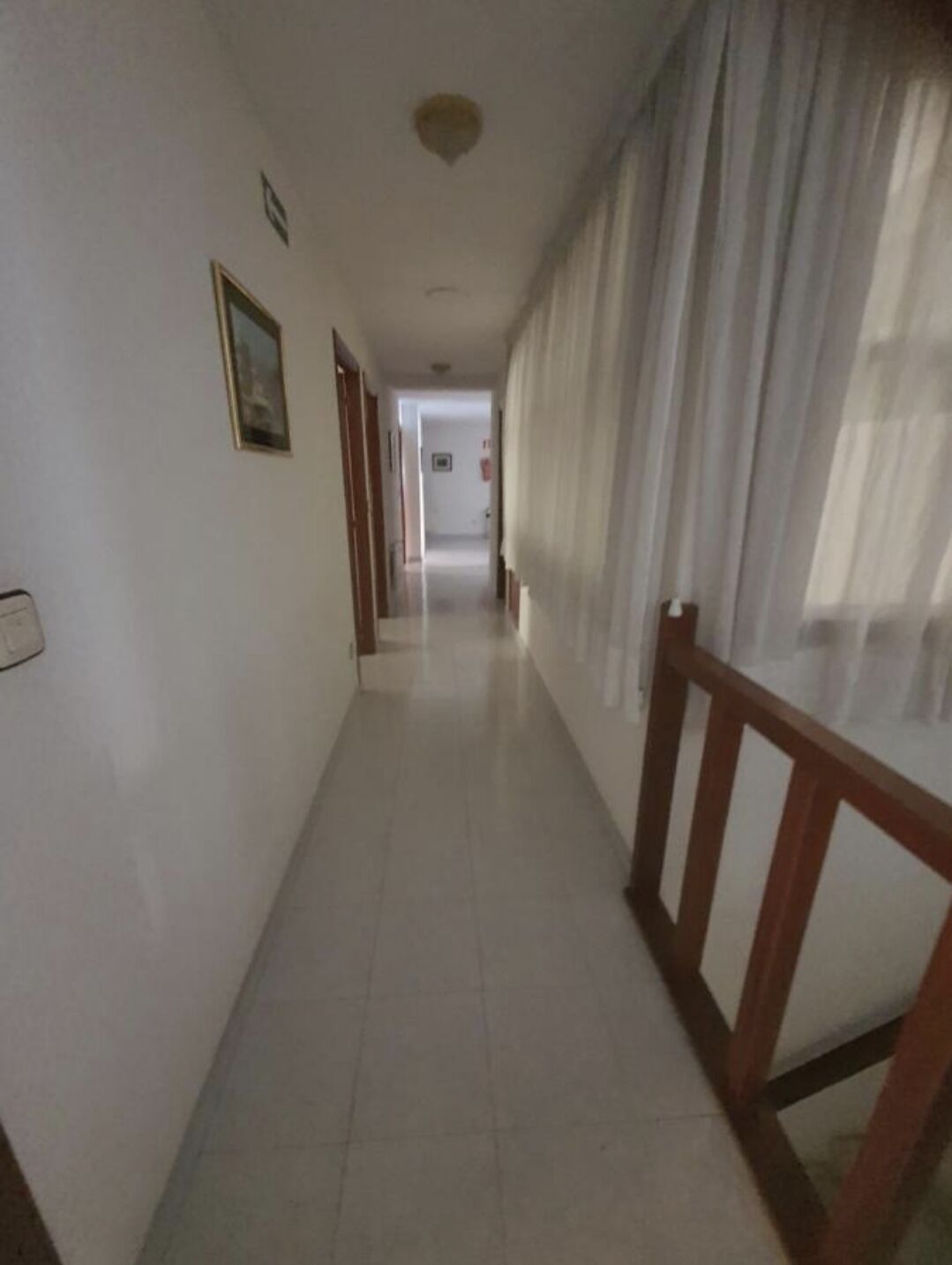 Photo - Flor de Loto