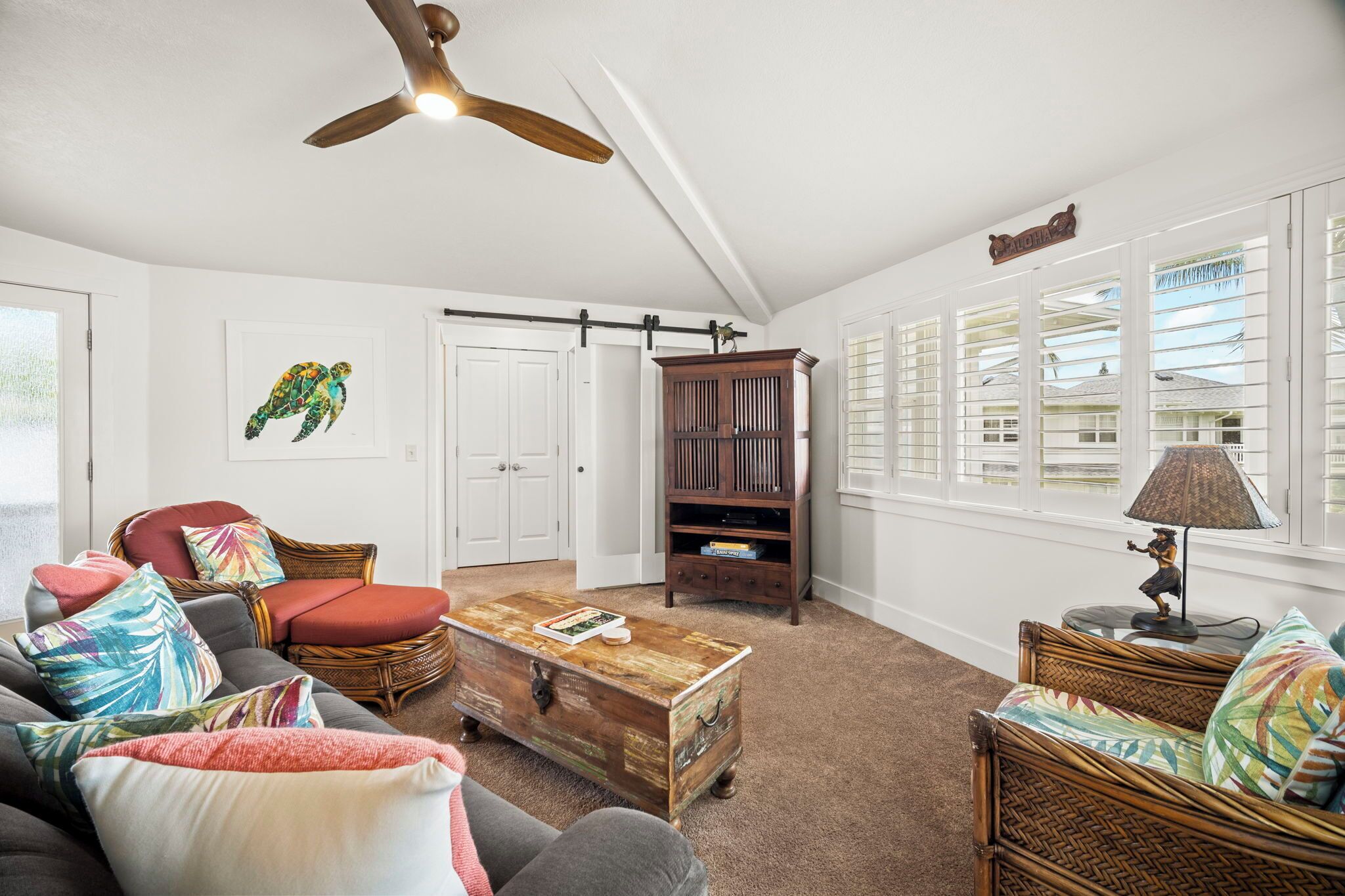 Smart TV, DVD player, books