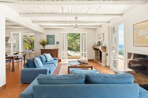 Smart TV, fireplace, books