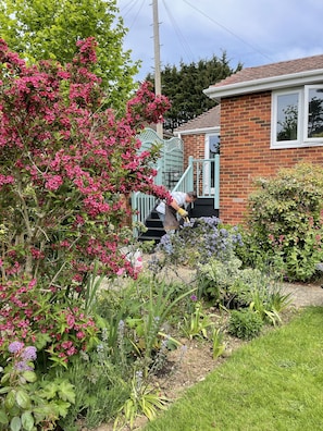 Àrea exterior de l'allotjament