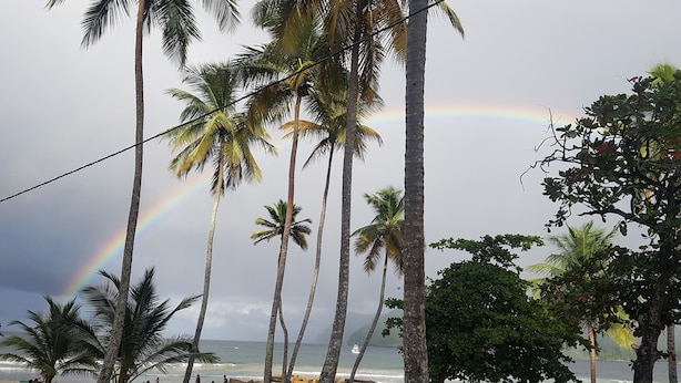 Ein Strand mit Palmen und einem Regenbogen.