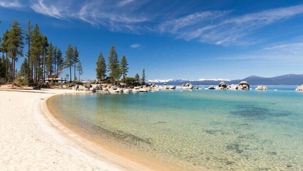 Una playa con agua turquesa cristalina, orilla arenosa y altos pinos.