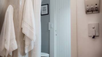 Suite | Bathroom | Shower, rainfall showerhead, hair dryer, soap