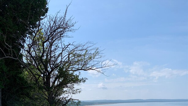 Eine Küstenlandschaft mit Sandstrand, Feldweg und dichter Vegetation.