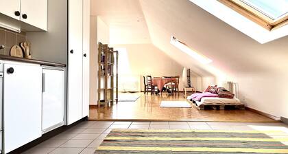 Service Loft in Central Geneva