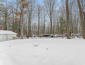 Escape to a secluded cabin surrounded by snow-covered trees.
