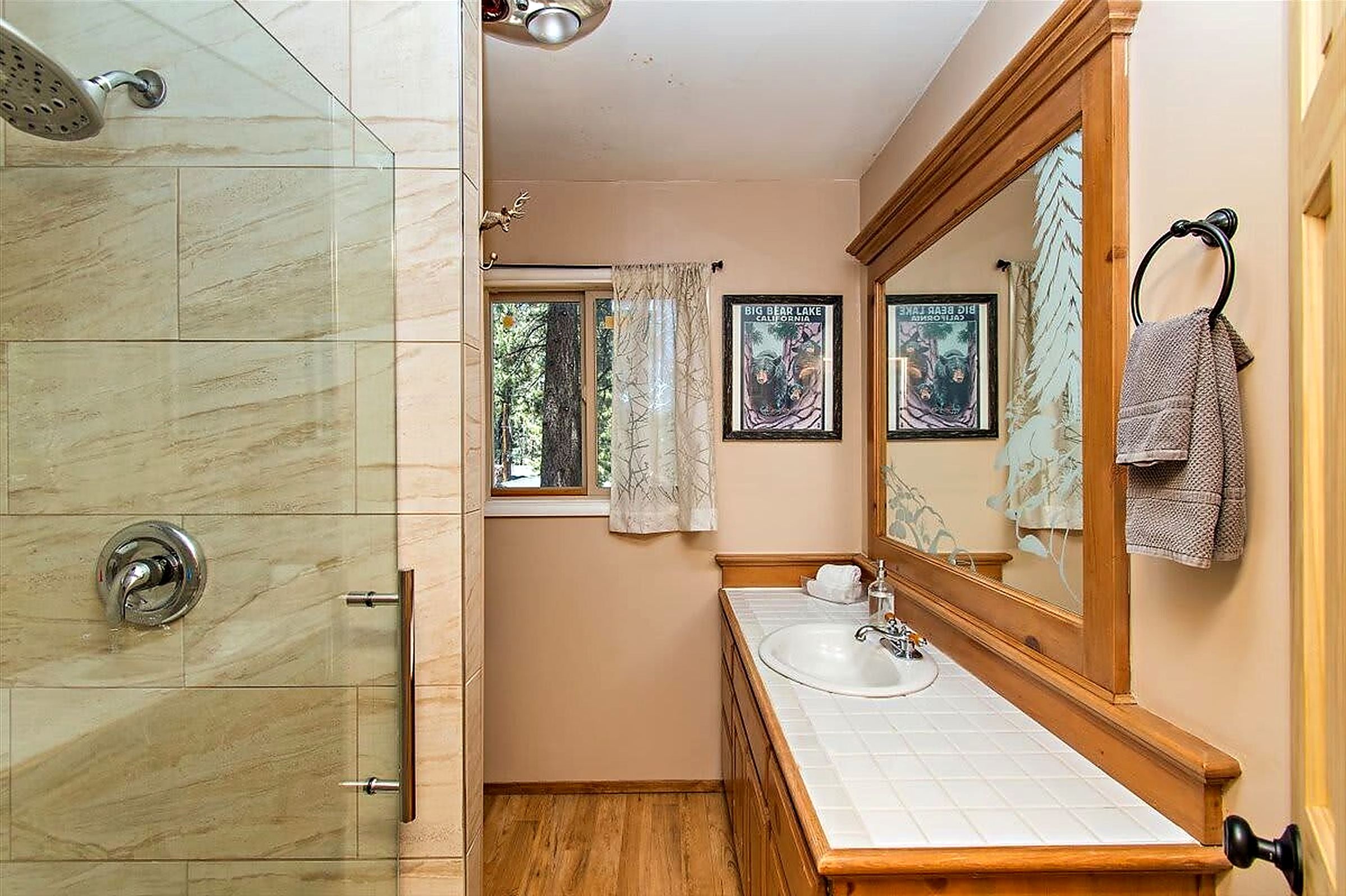 Walk-in shower and vanity