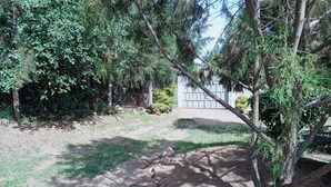 A fenced yard with a paved path, trees, and a building in the background. - Naivasha Homestay (Naivasha)