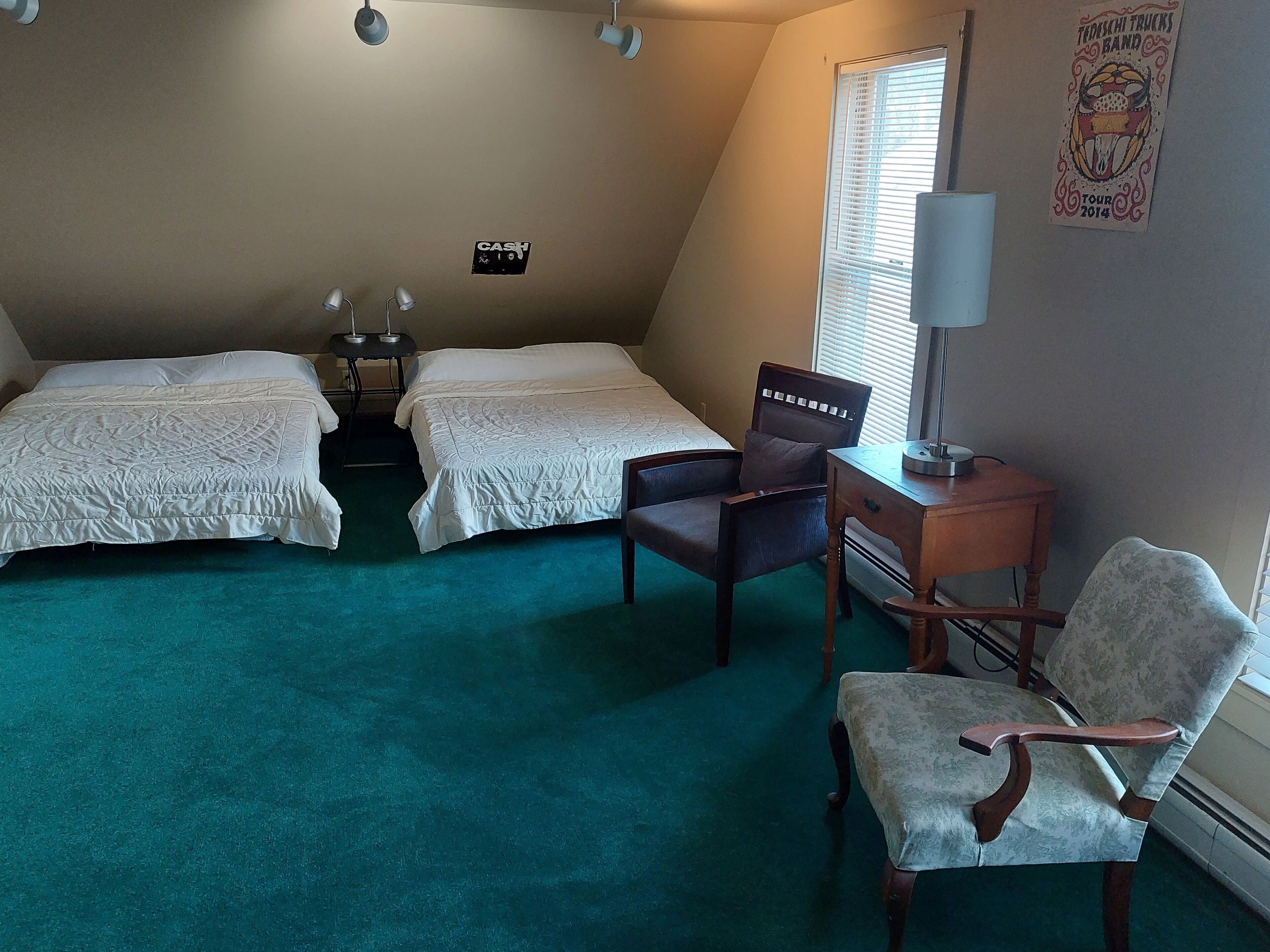 Terrapin Hostel en Kingfield